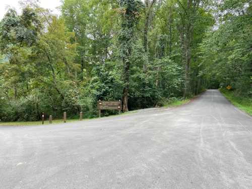 A fork in the road surrounded by lush green trees, with a sign indicating directions ahead.