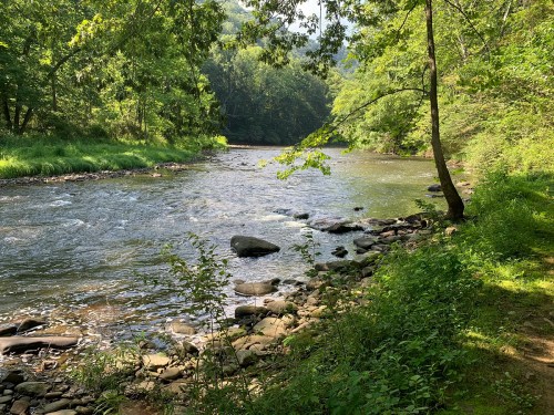 A serene river flows through a lush green landscape, surrounded by trees and rocky banks.