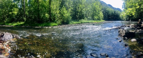 A serene river flows through a lush green forest, with sunlight filtering through the trees and rocks lining the shore.