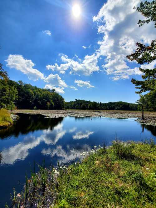 The 15 Best State Parks In Maryland To Visit ASAP