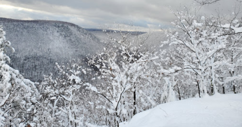 Snow-covered trees overlook a misty valley, with a cloudy sky above, creating a serene winter landscape.