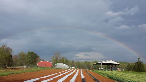 A rainbow arcs over a farm with red barns, fields, and a cloudy sky in the background.
