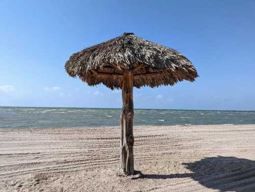 A thatched beach umbrella stands on a sandy shore with gentle waves and a clear blue sky in the background.