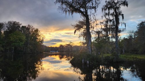 A serene sunset over a calm lake, with trees draped in Spanish moss reflecting in the water.