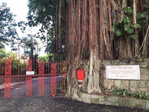 A red gate with intricate designs, surrounded by lush greenery and large tree roots, marking the entrance to The Kampong.
