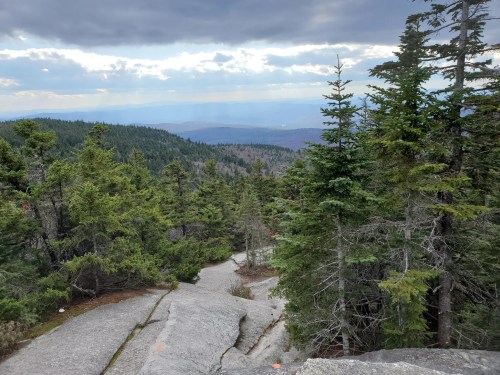 A scenic view from a rocky mountain trail, surrounded by lush green trees and distant hills under a cloudy sky.