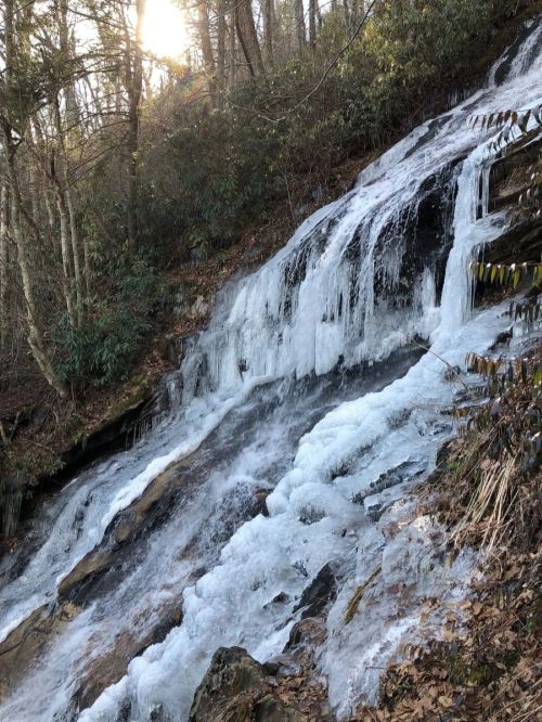 A frozen waterfall cascading down rocky terrain, surrounded by trees and greenery in a serene natural setting.