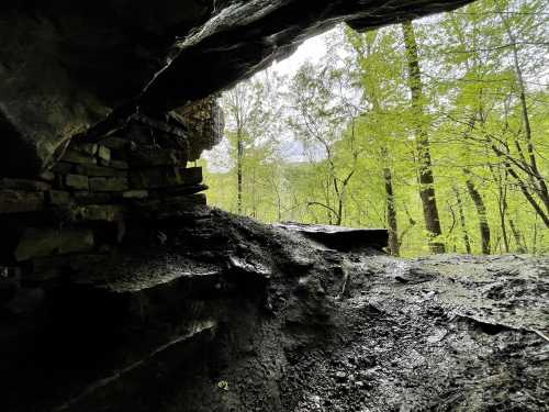 View from a cave opening, showcasing lush green trees and a cloudy sky in the background.