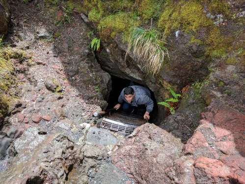 A person crouches at the entrance of a rocky cave, surrounded by moss and greenery.