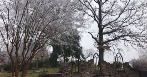 A winter scene featuring bare trees and a stone wall, with a misty atmosphere and icy branches.
