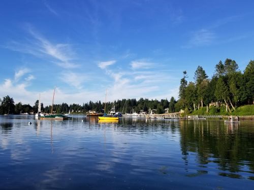 A serene waterfront scene with boats, trees, and a clear blue sky reflecting on calm water.
