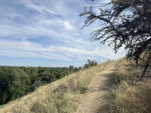 A dirt path winds along a grassy hillside, with trees and a city skyline visible in the distance under a blue sky.