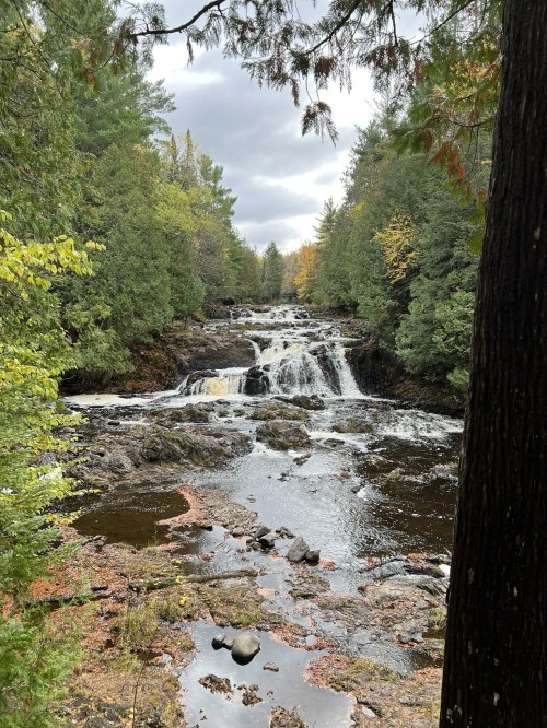 A serene waterfall cascades through a forest, surrounded by lush greenery and autumn foliage under a cloudy sky.
