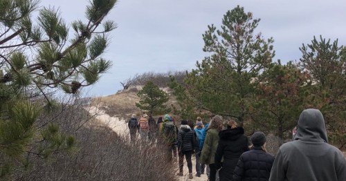 A group of people walking along a sandy path surrounded by trees and shrubs on a cloudy day.
