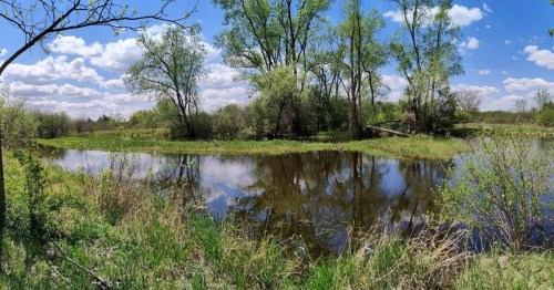A serene landscape featuring a calm pond surrounded by lush greenery and trees under a partly cloudy sky.