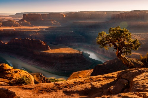 A scenic view of a canyon with a winding river, featuring a lone tree on a rocky ledge under a warm sunset.
