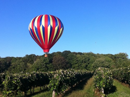 A colorful hot air balloon floats above a lush vineyard under a clear blue sky.