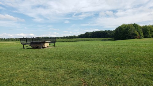 A grassy field with a stone fire pit and benches, surrounded by trees and a blue sky with clouds.