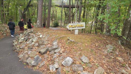 A path leads into a wooded area with a sign reading "Pine Trek" and people walking in the background.
