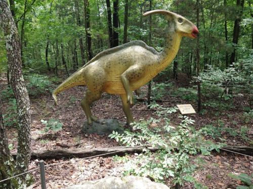 A life-sized dinosaur sculpture stands in a wooded area, surrounded by trees and foliage.