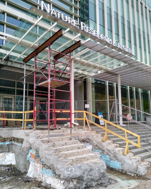 Scaffolding at the entrance of the Nature Research Center, with damaged steps and construction barriers visible.
