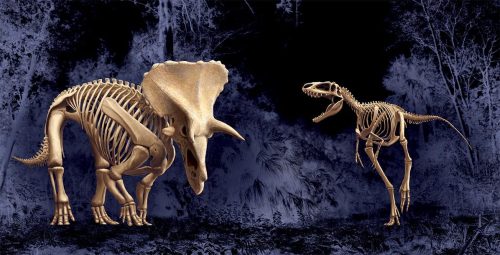Two dinosaur skeletons in a dark forest: a Triceratops and a Velociraptor, showcasing their distinct features.