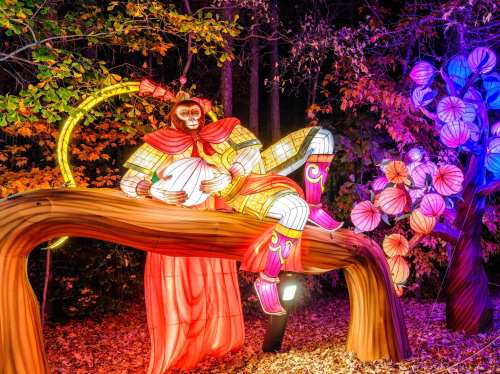 A colorful illuminated figure playing a banjo on a tree branch, surrounded by vibrant autumn foliage and lanterns.