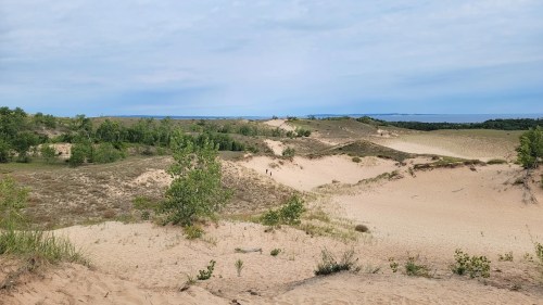 A scenic view of sandy dunes with sparse vegetation under a cloudy sky, leading to a distant horizon.