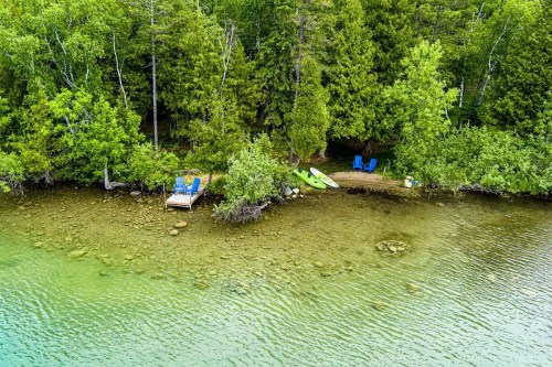 A serene lakeside scene with green trees, a wooden dock, and kayaks on the shore. Clear water reflects the surroundings.