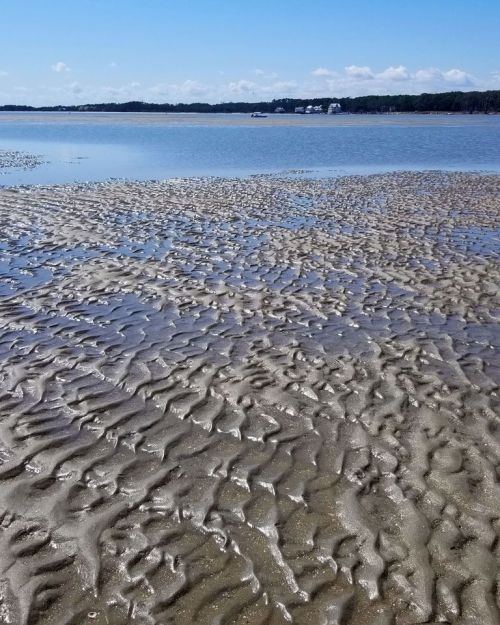 A sandy shoreline with rippled patterns, reflecting sunlight, and a calm water body in the background under a clear blue sky.