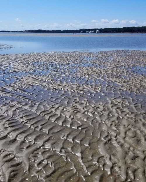 A sandy shoreline with rippled patterns, reflecting sunlight, and a calm water body in the background under a clear blue sky.