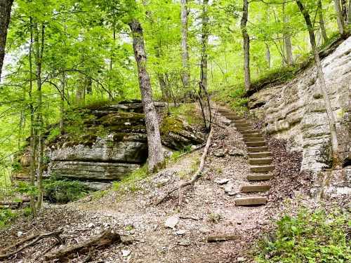 A forested area with green trees and a rocky hillside, featuring a set of wooden stairs leading up the slope.
