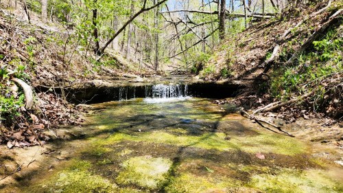 A serene stream flows through a wooded area, surrounded by green foliage and sunlight filtering through the trees.