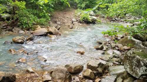 A serene stream flows over rocks, surrounded by lush greenery in a tranquil forest setting.