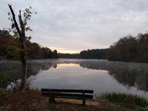 A serene lake at dawn, with mist rising and a bench overlooking the calm water surrounded by trees.