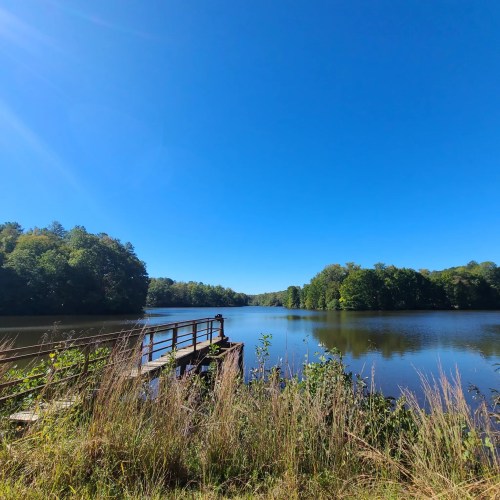 A serene lake surrounded by trees, with a wooden dock extending into the water under a clear blue sky.