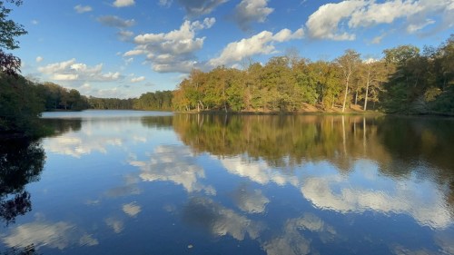 A serene lake reflecting trees and clouds under a blue sky, surrounded by autumn foliage.