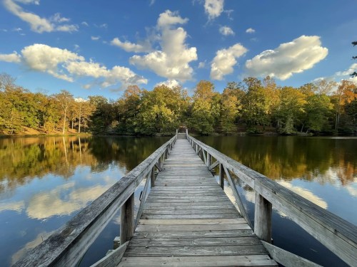 A wooden pier extends into a calm lake, surrounded by trees and reflecting clouds in a clear blue sky.