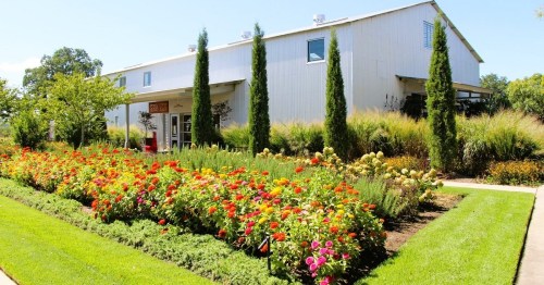 A vibrant flower garden in front of a modern building, surrounded by tall trees and lush greenery.