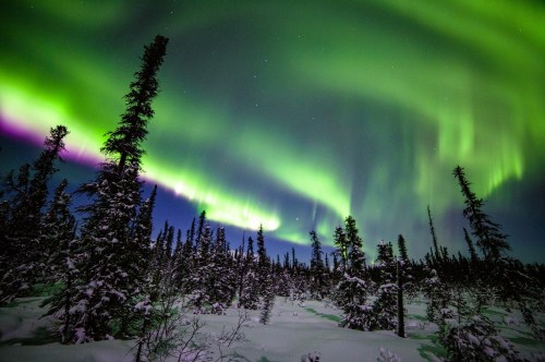 Northern lights in Colorado in 2024