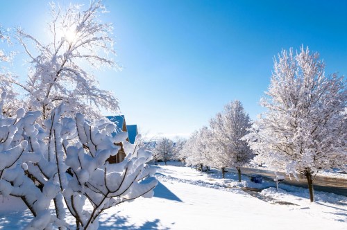 Cozy winter getaway in Kentucky