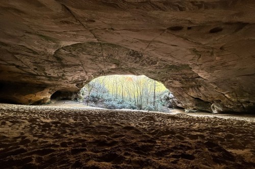 Ewing Trail Kentucky