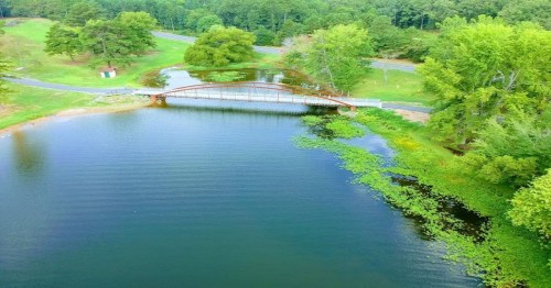 Aerial view of a serene lake with a wooden bridge, surrounded by lush greenery and a winding road in the background.