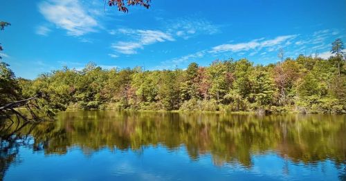 A serene lake surrounded by lush green trees under a clear blue sky, reflecting the landscape in the water.