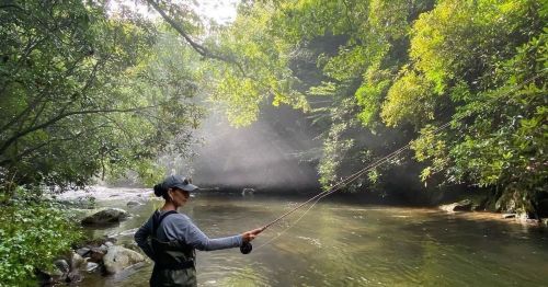 A person fly fishing in a serene river surrounded by lush greenery and soft sunlight filtering through the trees.