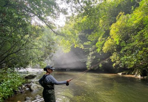 A person fly fishing in a serene river surrounded by lush greenery and soft sunlight filtering through the trees.