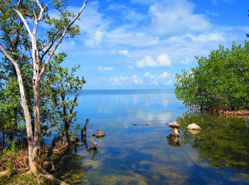 Serene lake scene with clear blue water, lush greenery, and a bright sky dotted with clouds.