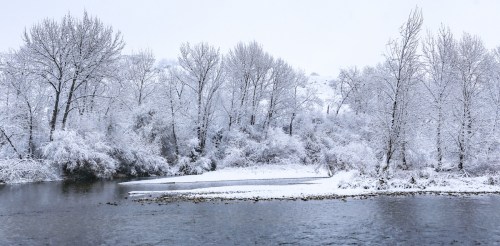 A serene winter landscape featuring a river surrounded by snow-covered trees and a soft, overcast sky.