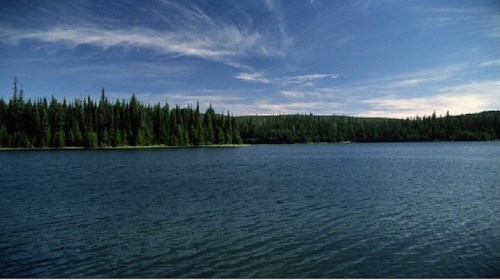 A serene lake surrounded by lush green trees under a clear blue sky with wispy clouds.