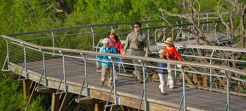 A family walks along a wooden boardwalk surrounded by greenery, enjoying a day outdoors.